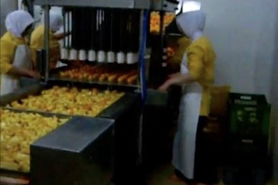 Tomato Slicer Machine 3